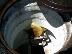 Looking into the sewer manhole after the bees were killed.