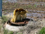 This hive was around two feet long by two feet wide by one foot thick.