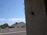 Bees in a pillar by the front door of a vacant house.